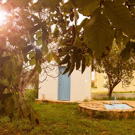 Apartament Olive Grove Kávos