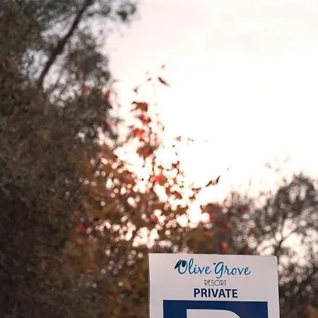 Apartament Olive Grove Kávos