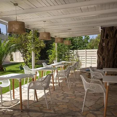 Olive Grove Apartment Kávos