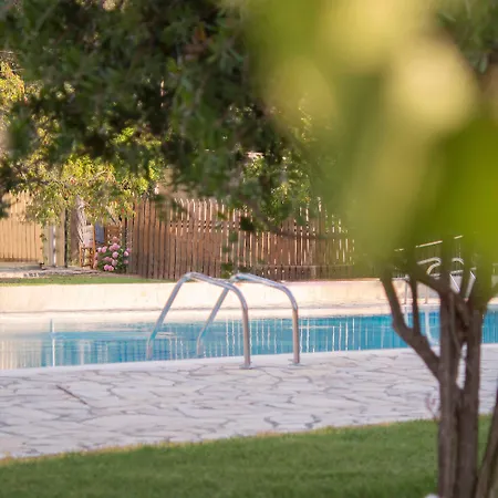 Olive Grove Apartment Kávos