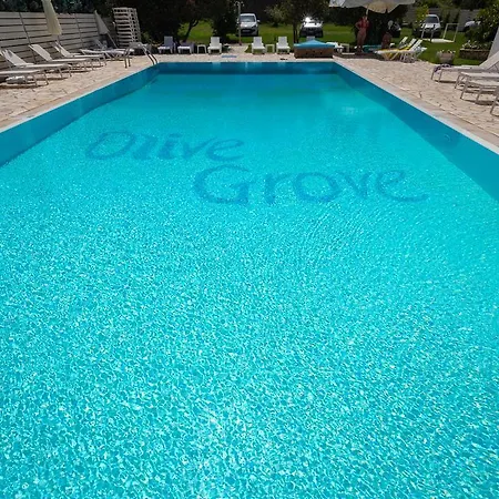 Olive Grove Apartment Kávos